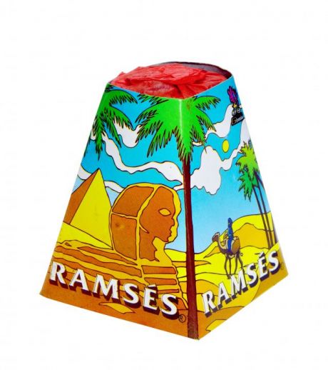 RAMSES